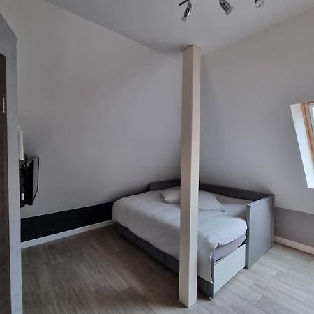 Studio De La Demi Lune Plobsheim Exterior foto